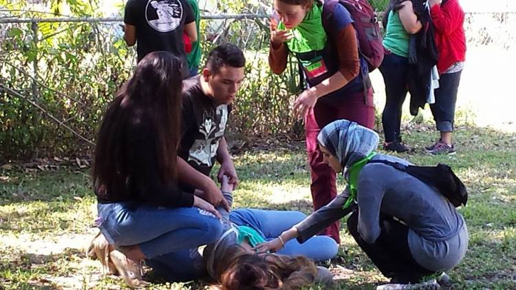 Responding to local needs